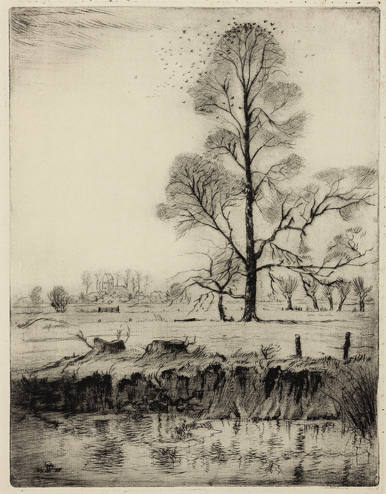 Gronings landschap met zwerm spreeuwen